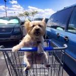 Dog shopping cart