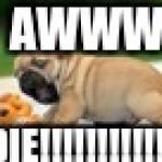 pug | AWWW; DIE!!!!!!!!!!!!!! | image tagged in pug | made w/ Imgflip meme maker