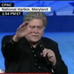 Bannon Salute