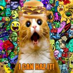 Shocked kitty | I CAN HAZ IT! | image tagged in shocked kitty | made w/ Imgflip meme maker