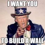 trump uncle sam | I WANT YOU; TO BUILD A WALL | image tagged in trump uncle sam | made w/ Imgflip meme maker