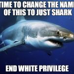 Stupid memes for stupid things  | TIME TO CHANGE THE NAME OF THIS TO JUST SHARK; END WHITE PRIVILEGE | image tagged in great white shark,white privilege | made w/ Imgflip meme maker
