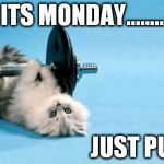 cat fitness | ITS MONDAY........ JUST PUMP! | image tagged in cat fitness | made w/ Imgflip meme maker