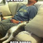 A Man and His Cat | ALL YOU NEED IS A GOOD; BEER BUDDY... AND A NAP | image tagged in man and cat | made w/ Imgflip meme maker