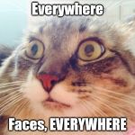 OMG Cat  | Everywhere; Faces, EVERYWHERE | image tagged in omg cat | made w/ Imgflip meme maker