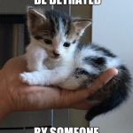 cynical-kitten | YOU CAN ONLY BE BETRAYED; BY SOMEONE YOU TRUST | image tagged in cynical-kitten | made w/ Imgflip meme maker
