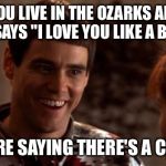 So you're saying there's a chance | WHEN YOU LIVE IN THE OZARKS AND YOUR CRUSH SAYS "I LOVE YOU LIKE A BROTHER" SO YOU'RE SAYING THERE'S A CHANCE? | image tagged in so you're saying there's a chance | made w/ Imgflip meme maker