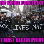 Just Saying What We're All Already Thinking... | ISN'T THE WHOLE CONCEPT OF BLM... REALLY JUST BLACK PRIVILEGE? | image tagged in blm,black privilege | made w/ Imgflip meme maker