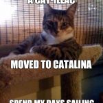 Things cats do | I RECENTLY BOUGHT A CAT-ILLAC; MOVED TO CATALINA; SPEND MY DAYS SAILING A CATAMARAN. LIFES GOOD! | image tagged in cats | made w/ Imgflip meme maker