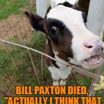 Have You Heard The Moos | HAVE YOU HEARD MOOS? BILL PAXTON DIED, "ACTUALLY I THINK THAT WAS THE SAME ONE" WILL NEVER BE THE SAME | image tagged in talking cow,bill paxton,twister,actually i think that was the same one | made w/ Imgflip meme maker