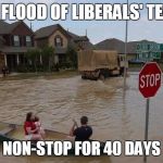 Flooding | THE FLOOD OF LIBERALS' TEARS; HAS BEEN NON-STOP FOR 40 DAYS & NIGHTS | image tagged in flooding | made w/ Imgflip meme maker