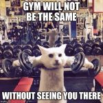 Gym Cat | GYM WILL NOT BE THE SAME; WITHOUT SEEING YOU THERE | image tagged in gym cat | made w/ Imgflip meme maker