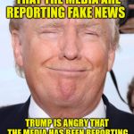 Trumpster | TRUMP IS DISTRACTING AMERICANS TO THINK THAT THE MEDIA ARE REPORTING FAKE NEWS; TRUMP IS ANGRY THAT THE MEDIA HAS BEEN REPORTING & EXPOSING THE TRUTH OF HIS TREASON AND CORRUPTION IN THE WHITE HOUSE | image tagged in trumpster | made w/ Imgflip meme maker