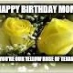 happy birthday mom | HAPPY BIRTHDAY MOM; YOU'RE OUR YELLOW ROSE OF TEXAS | image tagged in happy birthday mom | made w/ Imgflip meme maker