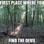 Woods | FIRST PLACE WHERE YOU; FIND THE DEVIL | image tagged in woods | made w/ Imgflip meme maker