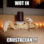 Fancy crab | WOT IN; CRUSTACEAN !!! | image tagged in fancy crab | made w/ Imgflip meme maker