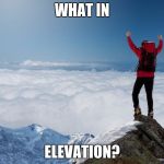 What In Elevation? | WHAT IN; ELEVATION? | image tagged in what in elevation | made w/ Imgflip meme maker