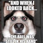 hate it when it happens | "AND WHEN I LOOKED BACK... ...THE BALL WAS STILL IN HIS HAND" | image tagged in memes,funny,lmao,dog,lol,featured | made w/ Imgflip meme maker
