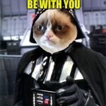 Dearth Vader grumpy cat | MAY THE FORCE BE WITH YOU; NEVER | image tagged in dearth vader grumpy cat | made w/ Imgflip meme maker
