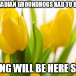 Spring Flowers | THE CANADIAN GROUNDHOGS HAD TO BE RIGHT; SPRING WILL BE HERE SOON! | image tagged in spring flowers | made w/ Imgflip meme maker