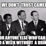 Rat Pack Week - A Lynch1979 event | WE DON'T  TRUST CAMELS . . . OR ANYONE ELSE WHO CAN GO A WEEK WITHOUT  A DRINK | image tagged in rat pack 2,lynch1979,drinking,rat pack week,frank sinatra,las vegas | made w/ Imgflip meme maker