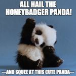 Hi panda | ALL HAIL THE HONEYBADGER PANDA! ---AND SQUEE AT THIS CUTE PANDA--- | image tagged in hi panda | made w/ Imgflip meme maker