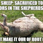 buttercupsheep | COT SHEEP: SACRIFICED TO THE TERRORS IN THE SHEPHERDS MIND; DIDN'T MAKE IT OUR OF BOOT CAMP | image tagged in buttercupsheep | made w/ Imgflip meme maker