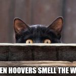 sneaky cat eyes | WHEN HOOVERS SMELL THE WEED | image tagged in sneaky cat eyes | made w/ Imgflip meme maker