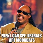 Stevie Wonder | EVEN I CAN SEE LIBERALS ARE MOONBATS | image tagged in stevie wonder | made w/ Imgflip meme maker