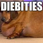fat dog | DIEBITIES | image tagged in fat dog | made w/ Imgflip meme maker