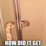 snakeshower | MY PET SNAKE; HOW DID IT GET FROM POINT "A" TO POINT "3" | image tagged in snakeshower | made w/ Imgflip meme maker