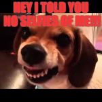 grumpy beagle don't like selfies | HEY I TOLD YOU NO SELFIES OF ME!!! | image tagged in grumpy beagle don't like selfies | made w/ Imgflip meme maker