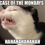 Mondays  | CASE OF THE MONDAYS; HAHAHAHAHAHAH | image tagged in mondays | made w/ Imgflip meme maker