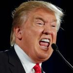 What the fuck trump