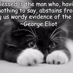 Adorable Cat | “Blessed is the man who, having nothing to say, abstains from giving us wordy evidence of the fact.”; ~George Eliot | image tagged in george eliot,big mouth,shut up,know it all,silence is golden | made w/ Imgflip meme maker