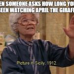 Sophia Picture It | WHEN SOMEONE ASKS HOW LONG YOU'VE BEEN WATCHING APRIL THE GIRAFEE | image tagged in sophia picture it | made w/ Imgflip meme maker