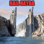 Hail Hydra | HAIL HAYDA | image tagged in hail hydra | made w/ Imgflip meme maker
