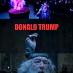 Goblet of Fire | THE NEXT PRESIDENT IS.... DONALD TRUMP; WTF? | image tagged in goblet of fire,memes | made w/ Imgflip meme maker
