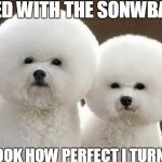 Spaceball Dogs | I LIVED WITH THE SONWBALLS. AND LOOK HOW PERFECT I TURN OUT! | image tagged in spaceball dogs,scumbag | made w/ Imgflip meme maker