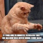 Dat ass cat | IT TOOK HIM 20 MINUTES TO REALISE THAT THE BALLOON WAS NEVER GONNA COME BACK | image tagged in dat ass cat | made w/ Imgflip meme maker