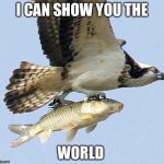 Hawk  | I CAN SHOW YOU THE; WORLD | image tagged in hawk | made w/ Imgflip meme maker