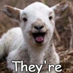 Laughing Goat | Just when you think I've forgotten about the goats... They're baaaaack! | image tagged in laughing goat | made w/ Imgflip meme maker