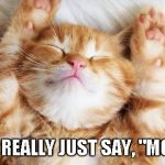 How I'm feeling right now... | DID YOU REALLY JUST SAY, "MONDAY"? | image tagged in sleeping kitten,memes,monday | made w/ Imgflip meme maker