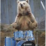 Drummer bear meme