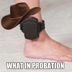 What In Probation Is Going On. | WHAT IN PROBATION | image tagged in probation,what in tarnation,funny,memes | made w/ Imgflip meme maker