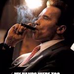 arnold cigar | MY HANDS WERE TOO BIG FOR THE JOB ANYWAY | image tagged in arnold cigar | made w/ Imgflip meme maker