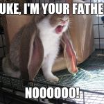 bunny nooooo! | LUKE, I'M YOUR FATHER; NOOOOOO! | image tagged in bunny nooooo | made w/ Imgflip meme maker