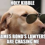 MLG Dog | HOLY KIBBLE; JAMES BOND'S LAWYERS ARE CHASING ME | image tagged in mlg dog | made w/ Imgflip meme maker