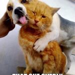 Go home, Odie! You're drunk! | WE ALL HAVE; THAT ONE OVERLY AFFECTIONATE FRIEND | image tagged in puppy licks kitty,memes,friendship | made w/ Imgflip meme maker