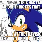 Sonic The Hedgehog Approves | IF OWNING A GENESIS HAS TAUGHT ME ONE THING IT'S THAT CLAWING AT THE TELEVISION SCREEN WON'T BRING SONIC BACK. | image tagged in sonic the hedgehog approves | made w/ Imgflip meme maker